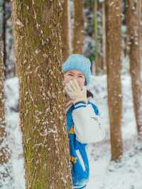 ❄️눈오는날 사람없는 제주여행지 [제주, 제주안전체험관]