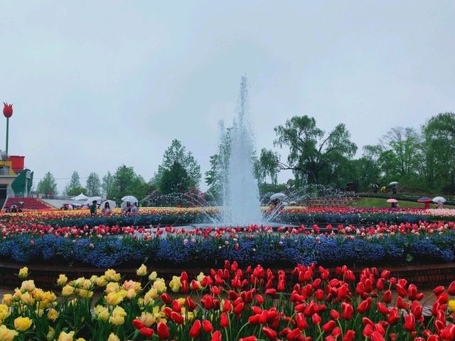 Tonami Tulip Park