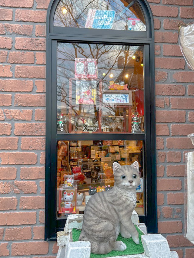 유후인에서만 만날 수 있는 특별한 고양이 상점🐈🐈‍⬛
