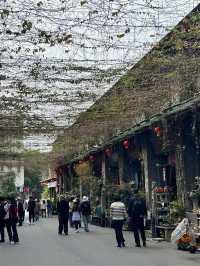 和平路公仔街😎廣州出發‼️陶瓷精品集中地
