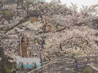 จุดชมวิว Amanohashidate View Land