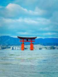 【絶景】海に浮かぶ美しき大鳥居！世界遺産嚴島神社で厄祓い⛩