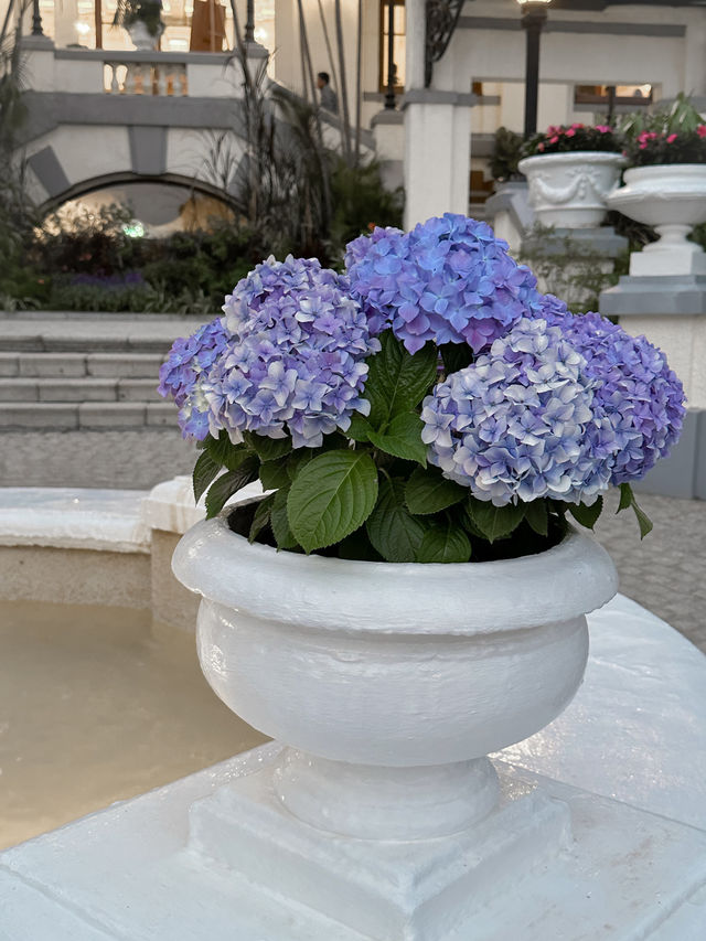 香港｜打卡勝地｜香港後花園