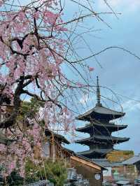 Experience the Magical Season of Kyoto🌸
