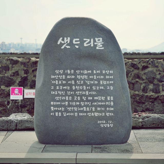 🌊 샛도리물, 제주 삼양의 신성한 용천수