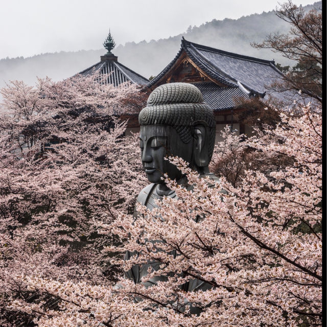 壺阪寺