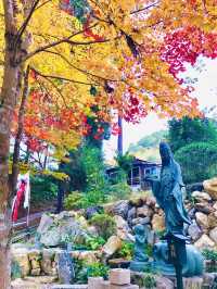  The timeless beauty of Kyoto’s red leaves🍁🇯🇵