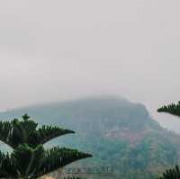 Pino Latte Resort & Cafe