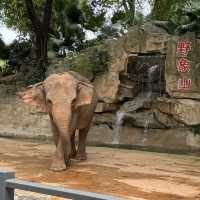 深圳野生動物園一日遊記🩷