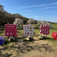 【岩手】東北で人気の桜の名所🌸