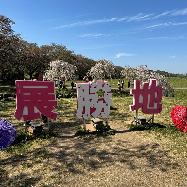 【岩手】東北で人気の桜の名所🌸