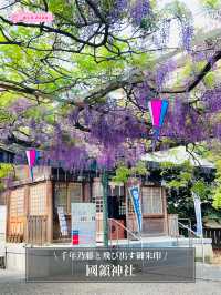 【國領神社/東京都】千年乃藤と飛び出す御朱印