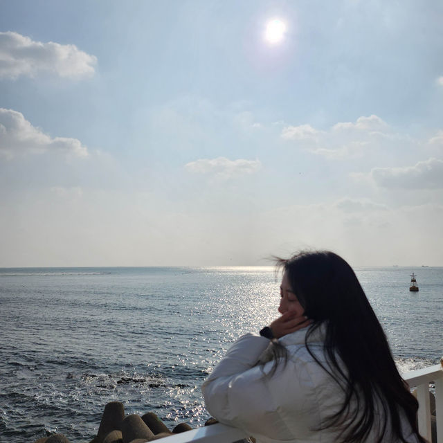 부산 해운대블루라인파크! 바다보며 열차타기!!