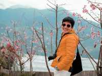  ที่พัก ชิงจิ้ง MountainTraveler ใต้หวัน 
