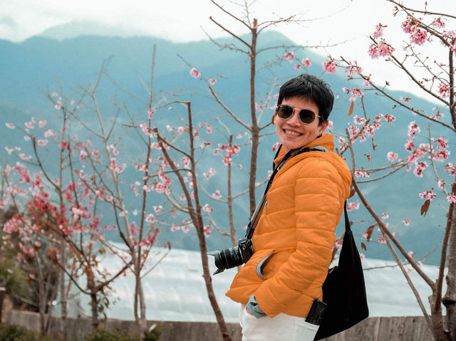  ที่พัก ชิงจิ้ง MountainTraveler ใต้หวัน 