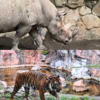 【東京景點】上野動物園：100年歷史，必探訪！🐼🐻‍❄️🌳🌍