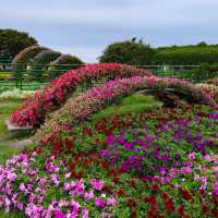 「臺北花博公園：絢爛多彩的花卉世界，與自然互動」