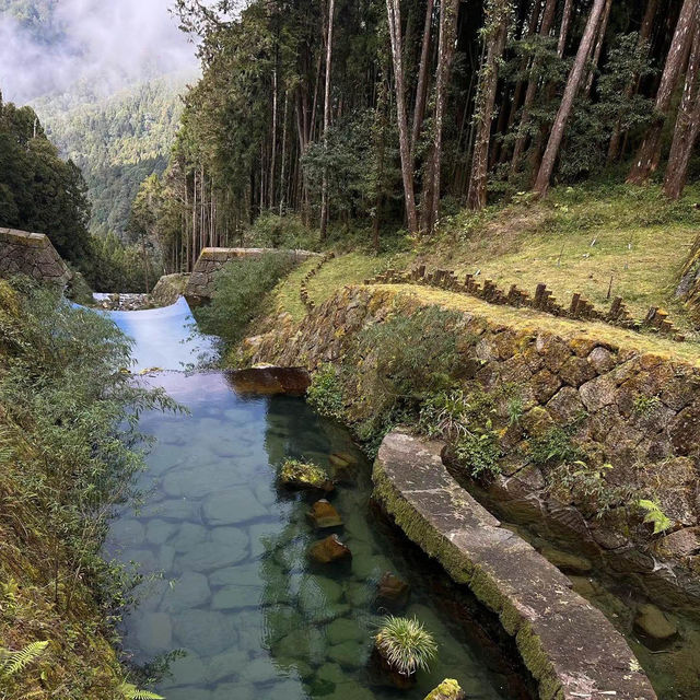 七星山步道🎄壯闊峰景