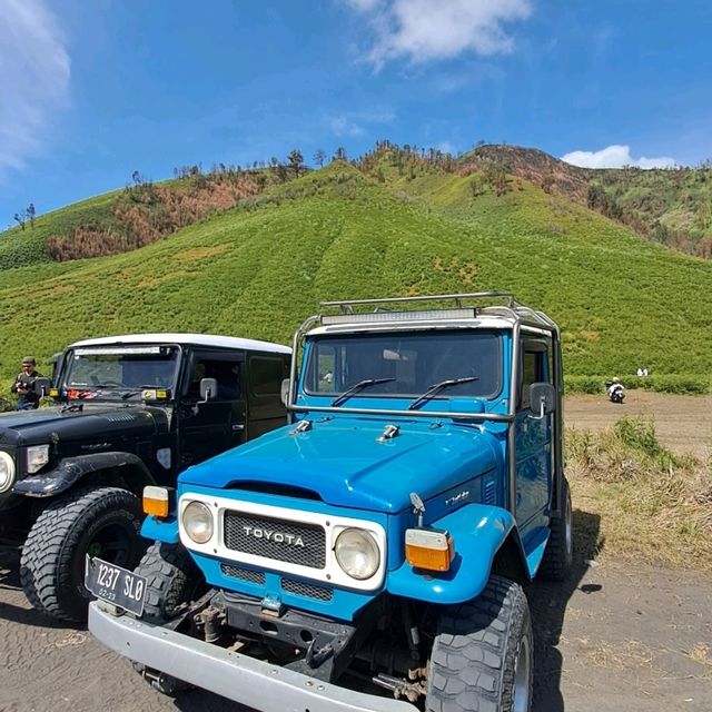 THE GREEN PARADISE OF BROMO