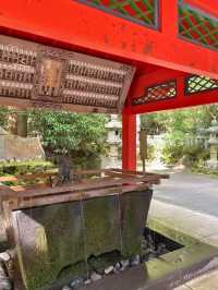 【神奈川 箱根】箱根のパワースポット⛩️箱根神社