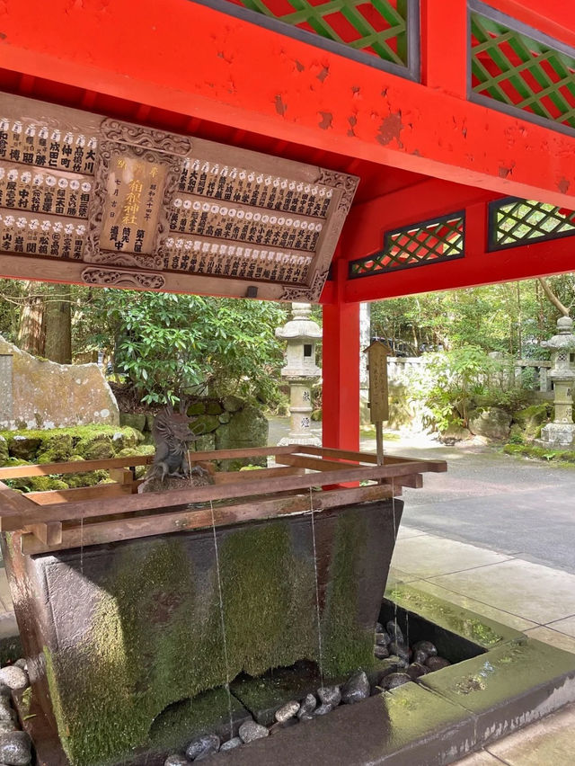 【神奈川 箱根】箱根のパワースポット⛩️箱根神社