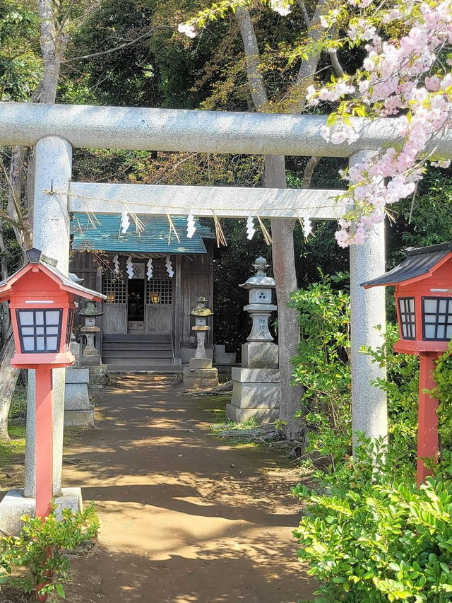 Oarai Isosake Shrine