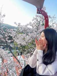 🎡16,000원 내고 하늘자전거만 타고 온 썰,,, 이거 맞아?,,,