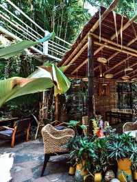 🌳ผ่อนคลายสบายใจกับ คาเฟ่บ้านต้นไม้ ☕