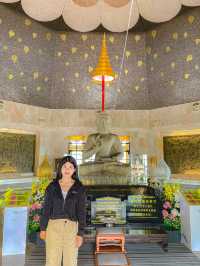 พระมหาธาตุนภเมทนีดล พระมหาธาตุนภพลภูมิสิริ