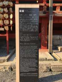 鶴岡八幡宮的莊嚴與美麗：探索鎌倉的靈魂