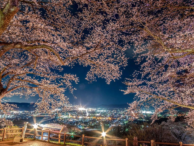 賞櫻勝地船岡城址公園