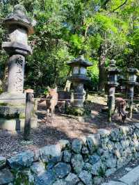 【奈良県】春日五代龍神めぐり「龍王社」