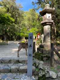 【奈良県】春日五代龍神めぐり「龍王社」