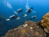 เรียนดำน้ำลึกกับ Koh Tao Scuba Club