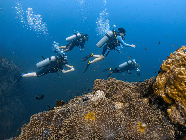 เรียนดำน้ำลึกกับ Koh Tao Scuba Club
