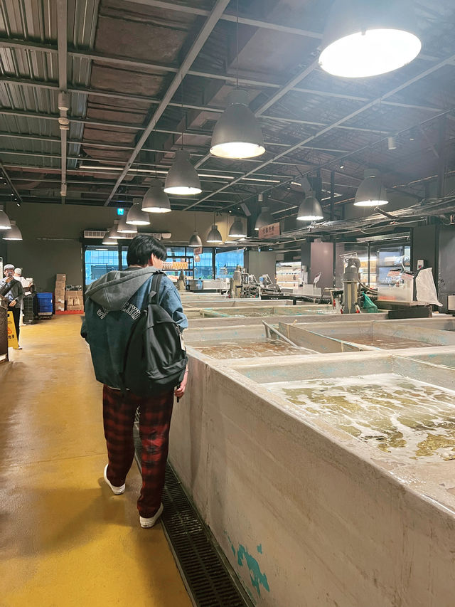 Taipei Fish Market