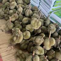 มาเที่ยวเมืองขุนหาญ