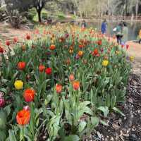Araluen Botanic Park in Perth WA, perfect place for a weekend getaway