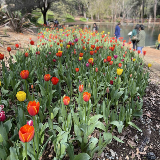 Araluen Botanic Park in Perth WA, perfect place for a weekend getaway