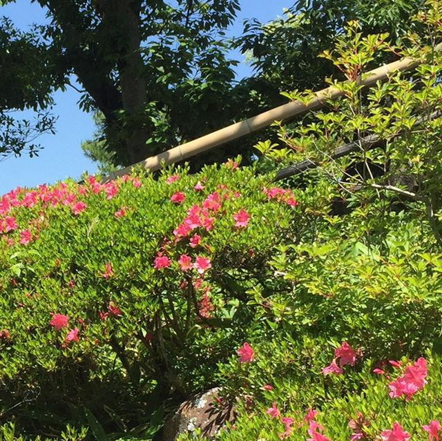 일본 나라의 숨은 정원