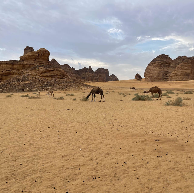 サウジアラビアの古代都市【マダイン・サーレハ】