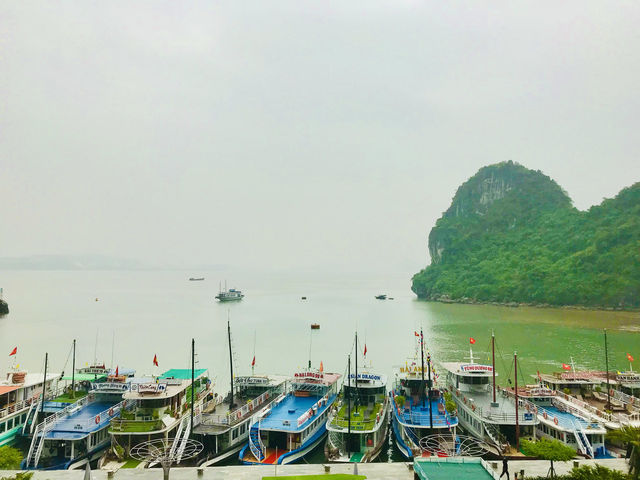 A unique glimpse into a world of dramatic cliffs 🇻🇳