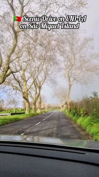 🇵🇹 Scenic Drive on EN1-1A on São Miguel Island