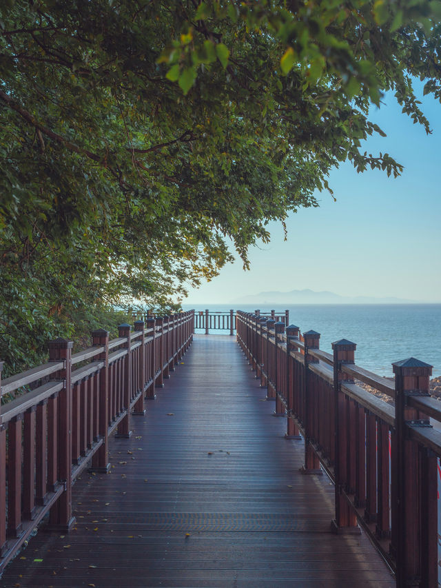 고요함이 가득 바다위를 걷는 십리포 해변 🌊