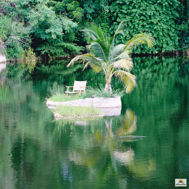 Serene House Cafe
