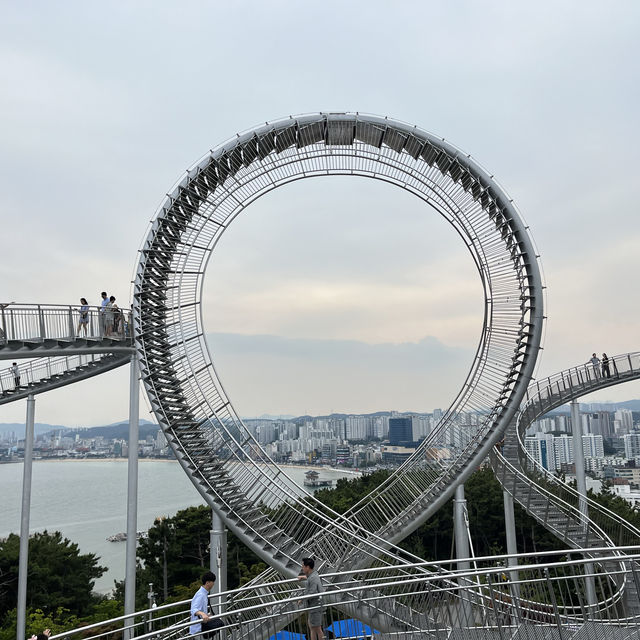 포항 여행 가볼만한곳 입장료 무료인 환호공원 스페이스워크