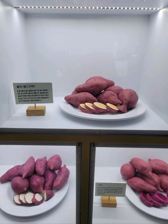 영도에 생긴 조내기 고구마 기념관🍠