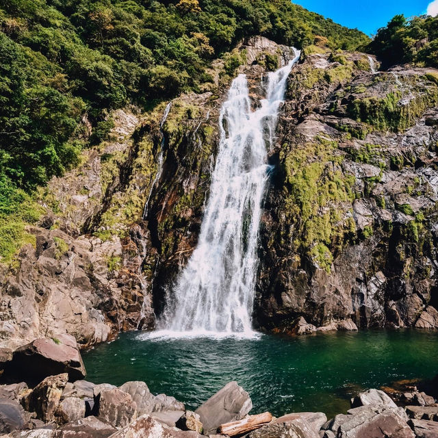 เกาะมรดกโลกทางธรรมชาติของญี่ปุ่น 