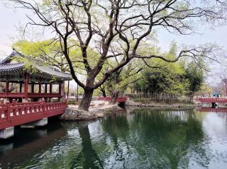 The Gwanghanruwon Garden 광한루원