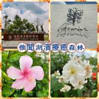 台南後壁雅聞湖濱療癒森林